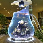 Pitcher Aquarium