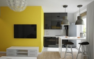 Proiect de proiect al unui apartament de studio +80 de fotografii