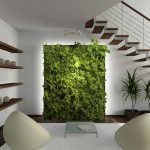 Decorarea pereților cu plante interioare