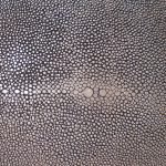 Shagreen