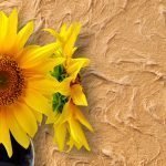 Tournesols sur le mur