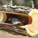 Birdhouse تغذية الحوض الصغير