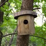 Birdhouse على شجرة