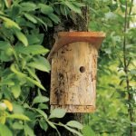 birdhouse الصغيرة مصنوعة من سجلات