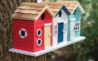 birdhouse DIY: الخلق والديكور