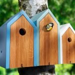 Birdhouse Tit