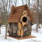 البتولا النباح في ديكور birdhouse