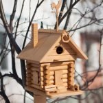 Birdhouse مع ريشة الطقس