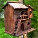 طلى birdhouse