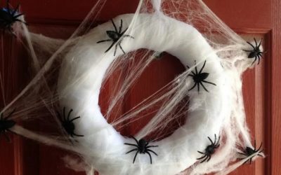 DIY Spider Web