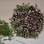 نحن إصلاح فروع thuja