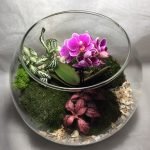 Florarium en fleurs