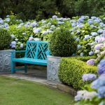 Hydrangea shop