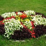 Flowerbed مع صورة