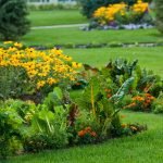 Flowerbed من حديقة النباتات