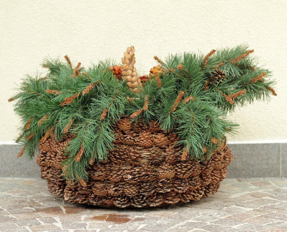 Panier de cônes
